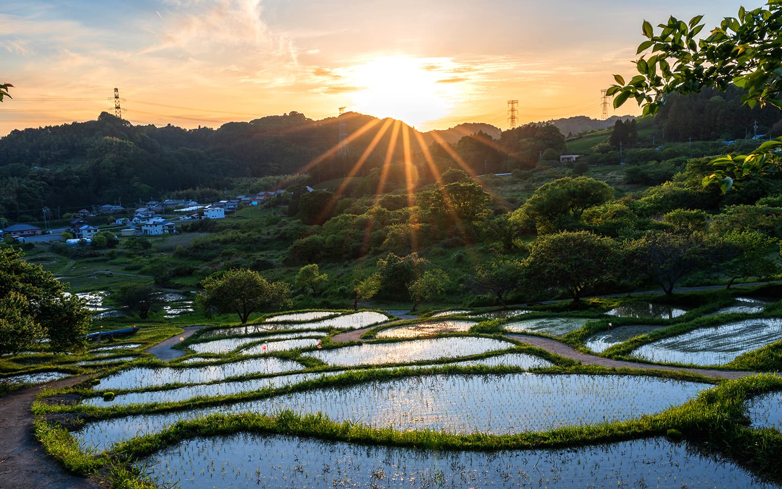 菊川市